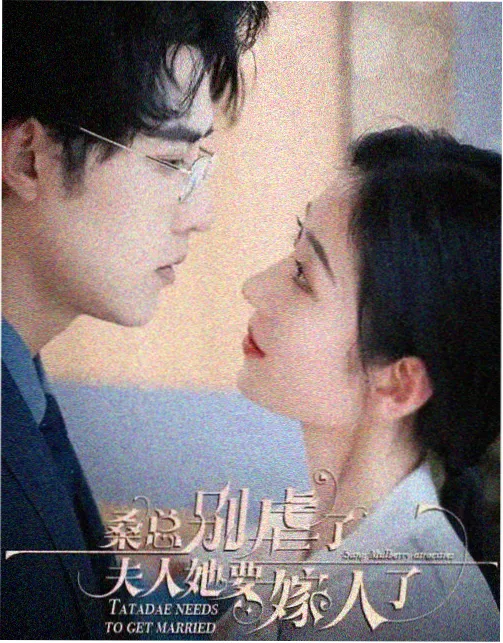 数据迷城剧集海报